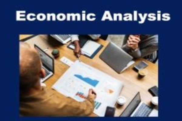 economic analysis