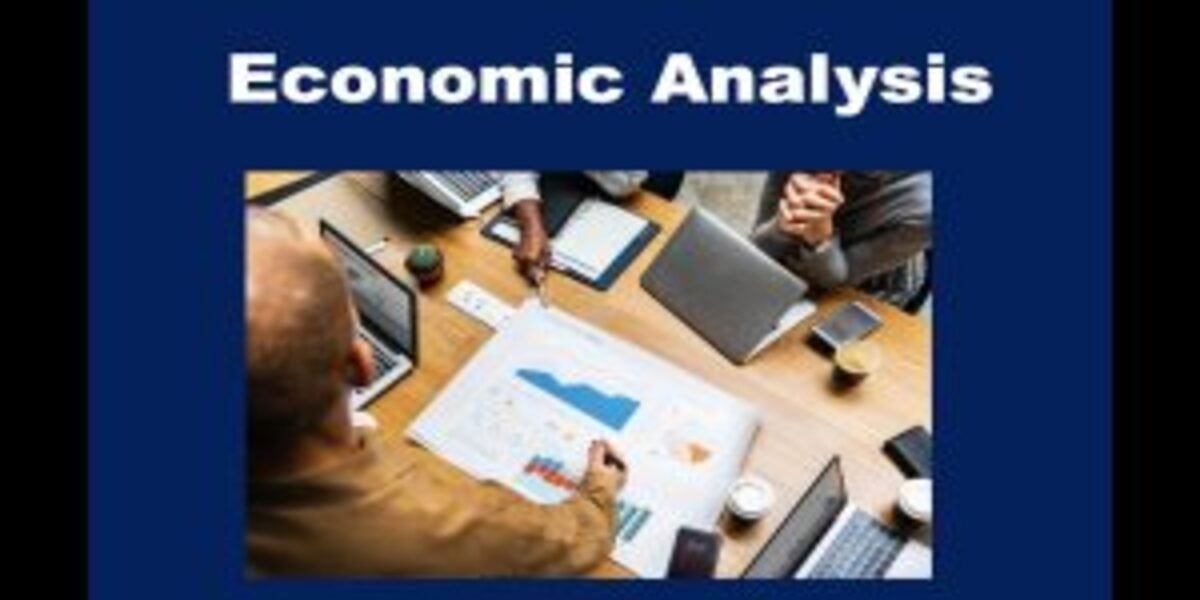 economic analysis